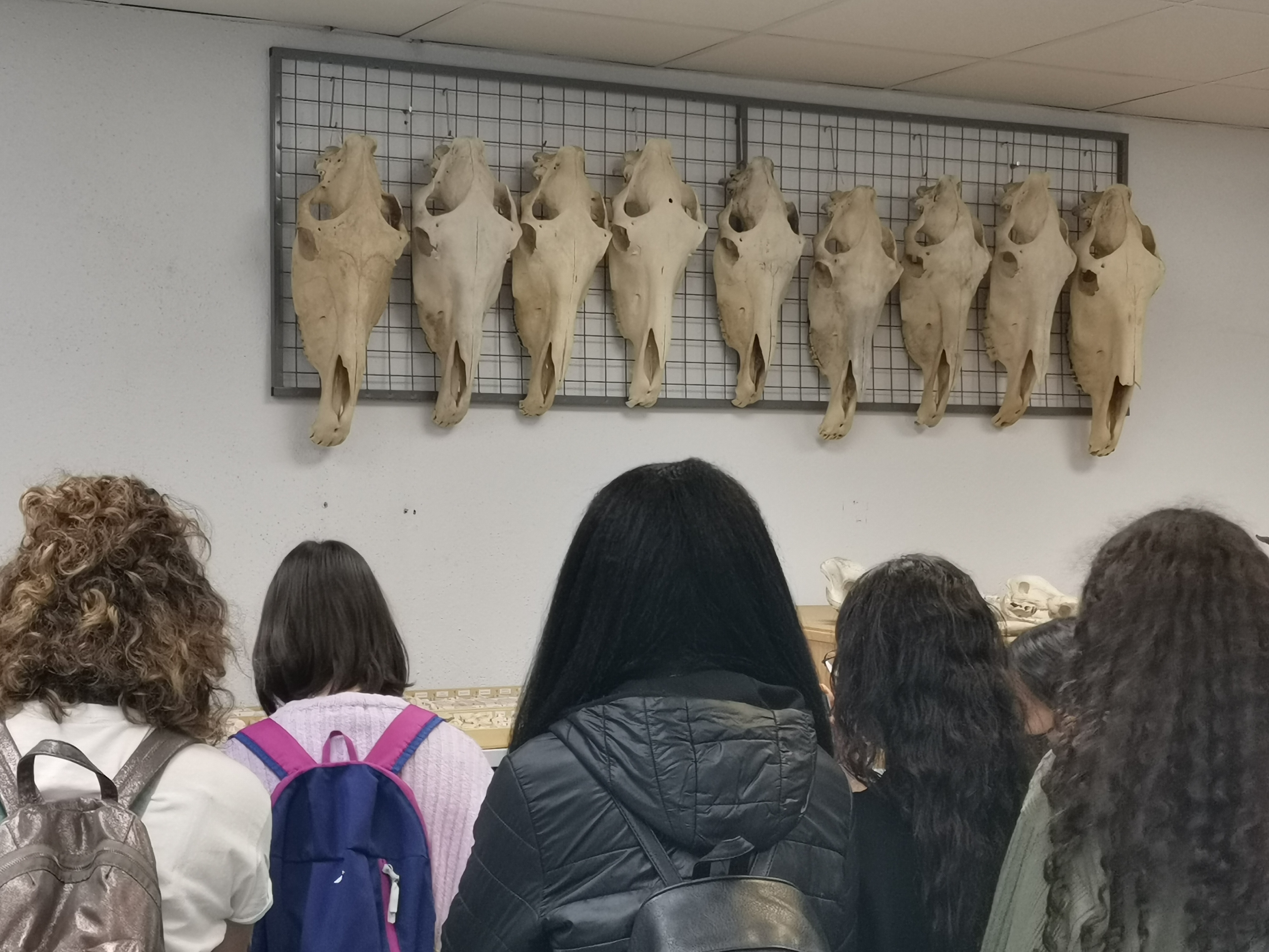 Alumnos de 3º de la ESO visitan el CCHS dentro del proyecto 'Cientíci@s en prácticas'