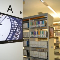 Las mejores fotografías del concurso ‘Ciencia, literatura y viaje’, en las estanterías de la Biblioteca Tomás Navarro Tomás del CCHS