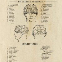 Una exposición bibliográfica sobre la producción científica antes y después del Trienio Libera en el XIV Congreso de la SEHCYT