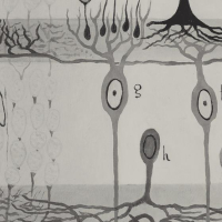 Estreno de "Tesoros y Fantasmas de la Ciencia española", serie documental realizada por los hermanos Paco y Juan Pimentel (IH), cineasta e historiador respectivamente