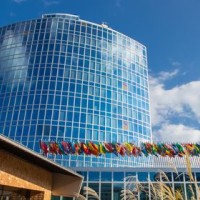 Catalina Martínez (IPP) interviene como ponente en la reunión de la "Organización Mundial de la Propiedad Intelectual sobre reducción de tasas de patentes a universidades"