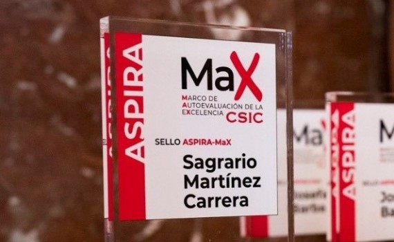 MAX ILC